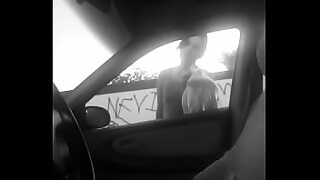 auto shakar