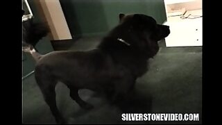1st time sex open the teens