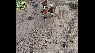 18 year old sister lost her virginity with her step brothers big cock full video full video