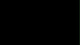 animation fox