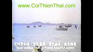 bu cu viet nam
