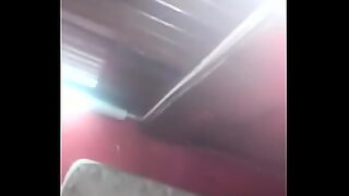 coroa amadr