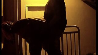 18 shy casting