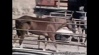 aunty dress changing hidden cam