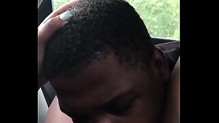 black nut compilation