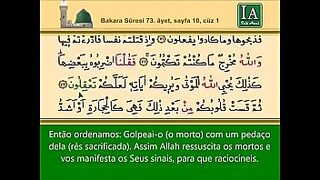esposa com negao