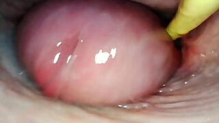 18 trying anal