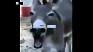 14 sal ke like or 18 sal a lka xx video