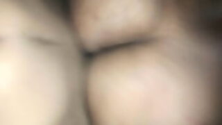 cuatro machos