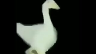 1hours video hardcore