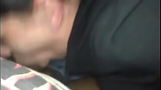 black swallow nut
