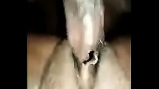 ally shreds
