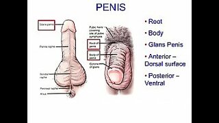 18 years of boy sexing