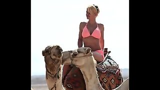 cali diva