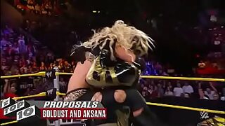 all wwe divas sex videos