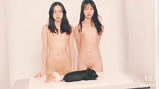 ai twins