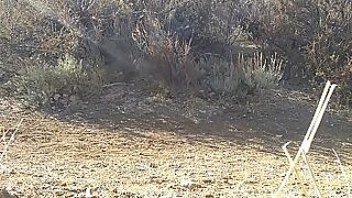 aunty bathing hidden cam