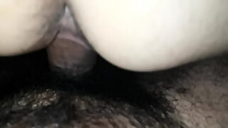 chibolas peruanas