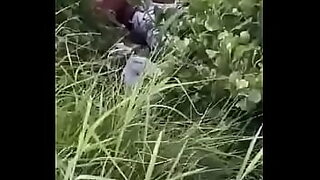 africa in a bush