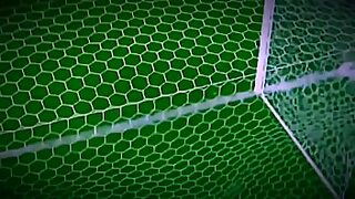 anal brasil