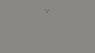 1 man and 5 woman
