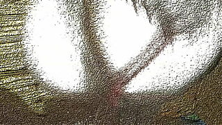 animation fox