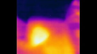 thermal cameras