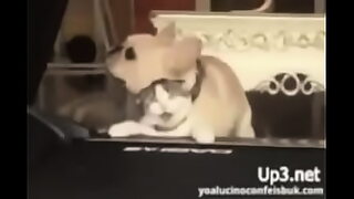 14 y