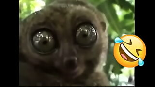 aby
