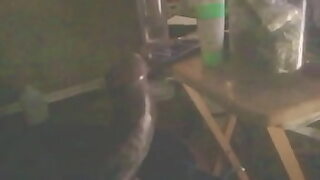 ass shaking while hands on the floor