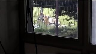 1 girl 4 boys at a time 1 in moutn 2 in vagina 1 in 2 hole