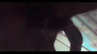 15 inch penis