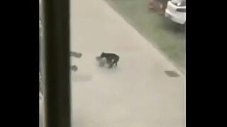 18 na babae sa manila kinantot
