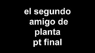 planta rosa