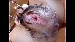 animals trained to fuck people