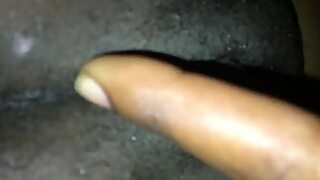 lexo pore