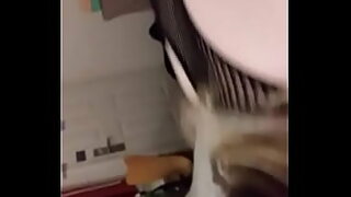 17 inch cox