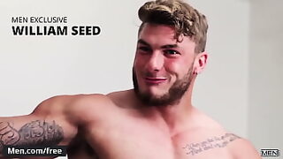 ava devine ryan driller
