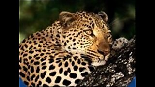 14 sal ke like or 18 sal a lka xx video