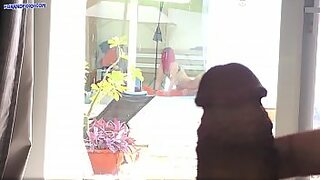 1 boy and 2 girls sex