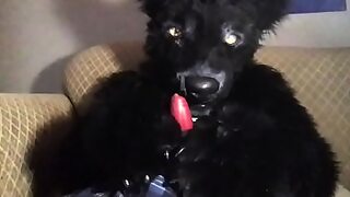 3d reverse cowgirl pov