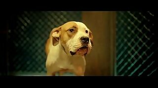 18 sal ki ldki ke sharee me xxx video