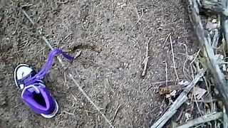 ants