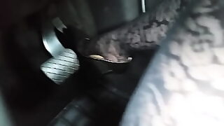 auto ecole