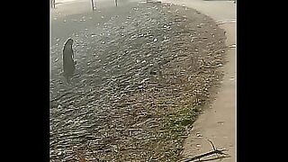 african bubble butt