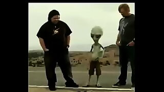 zfx