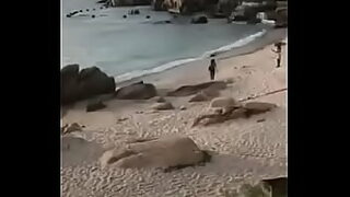 anh setxy