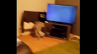 3d reverse cowgirl pov