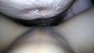 ale a kosha