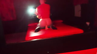 animals dt